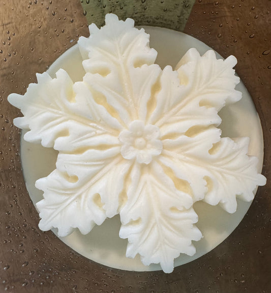 Balsam + Fir Wickless Candle