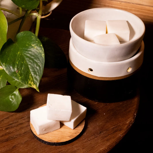 Anjou Pear + Citronella Wax Melts