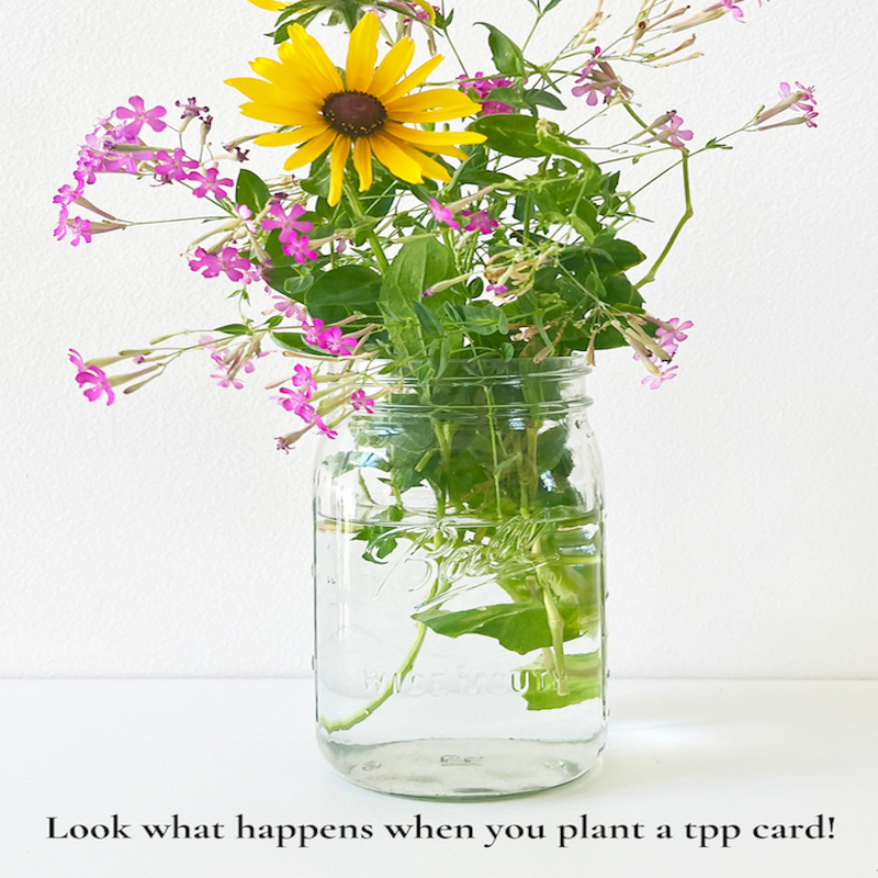 Wedding Day: Plantable Wildflower Wedding Card