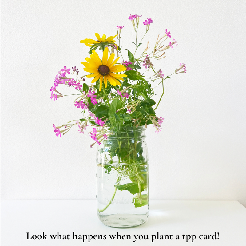 Wedding Knot: Plantable Wildflower Wedding Card